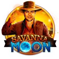 bingo slot how to bet on horses odds